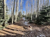 East facing side of cabin