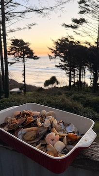 The view from the patio