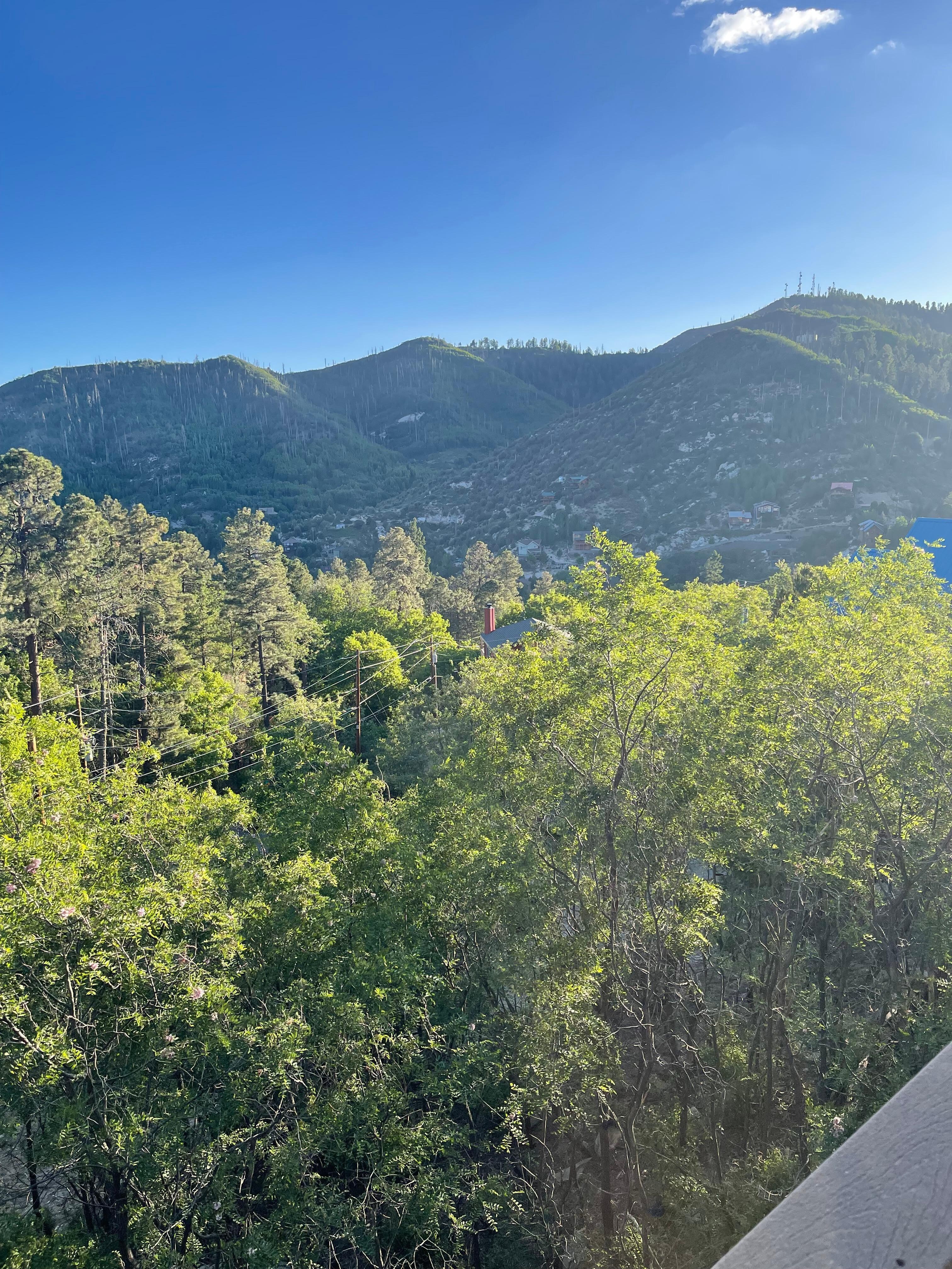 View from deck
