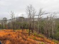 View from the back porch