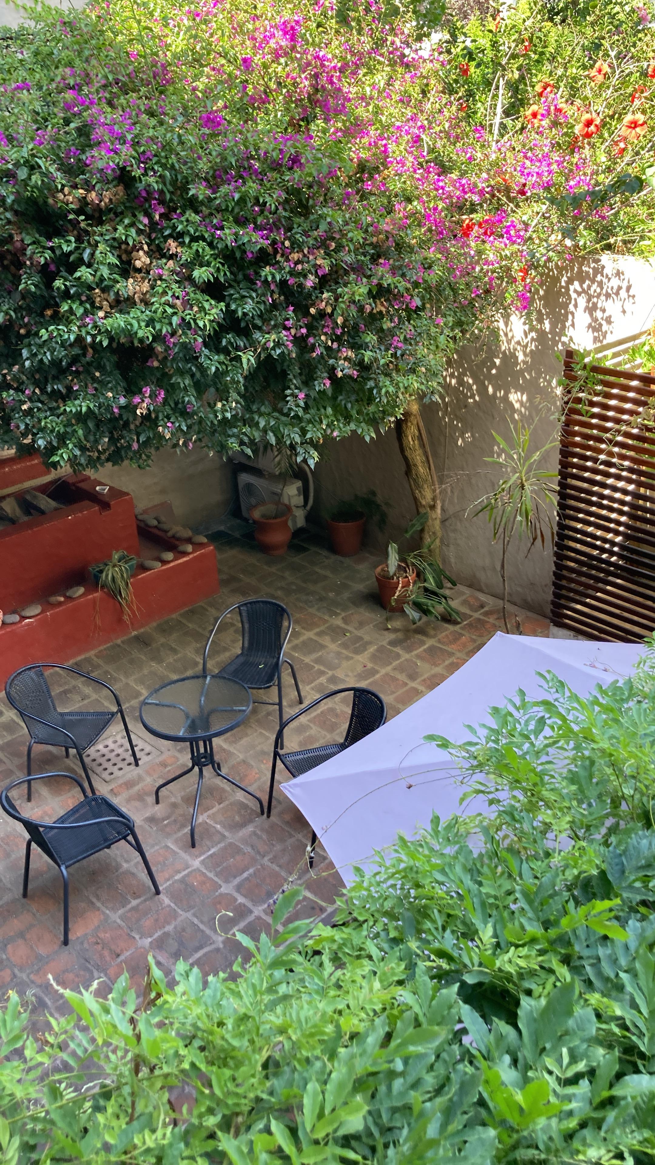 Courtyard in hotel. Lovely spot for morning coffee 