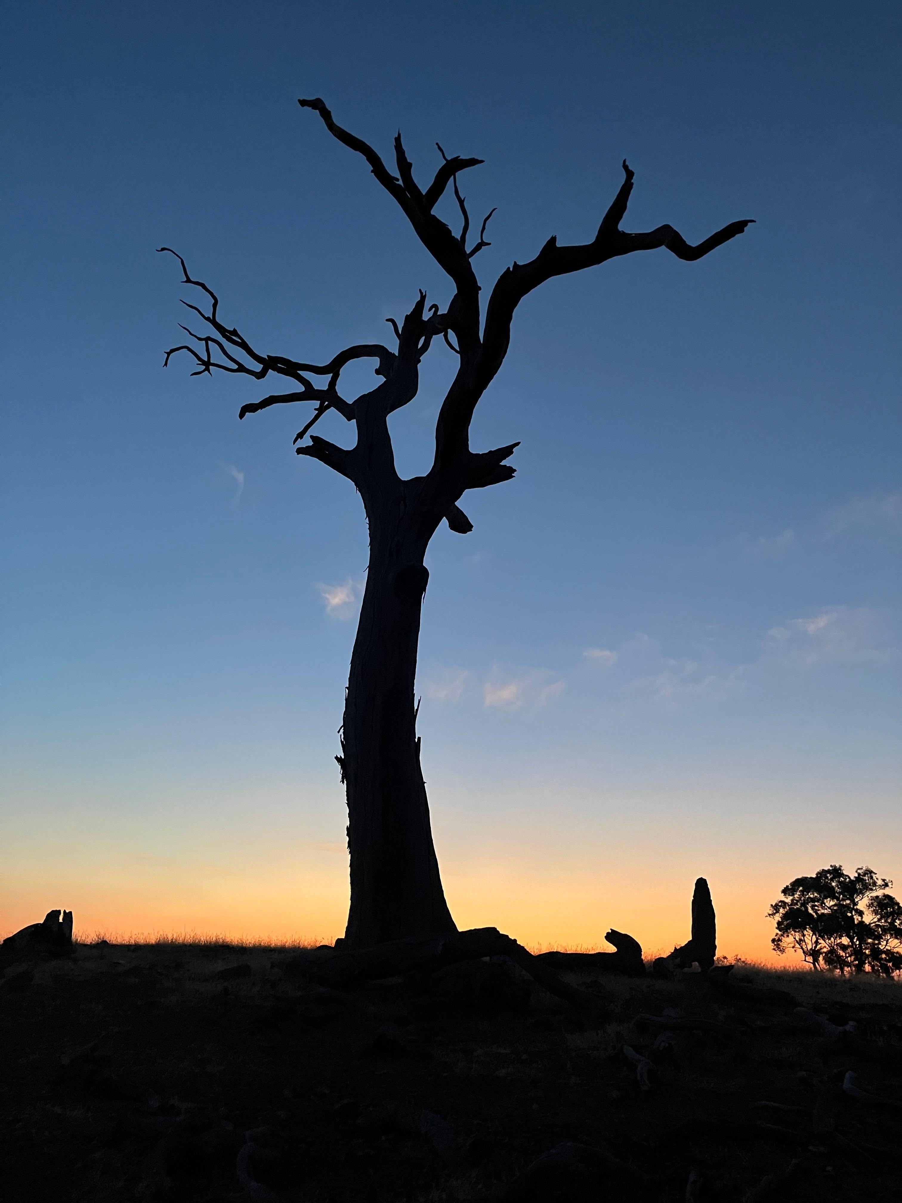 sunset from the hilltop
