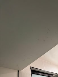 Looks like bathroom ceiling needs to be wiped down