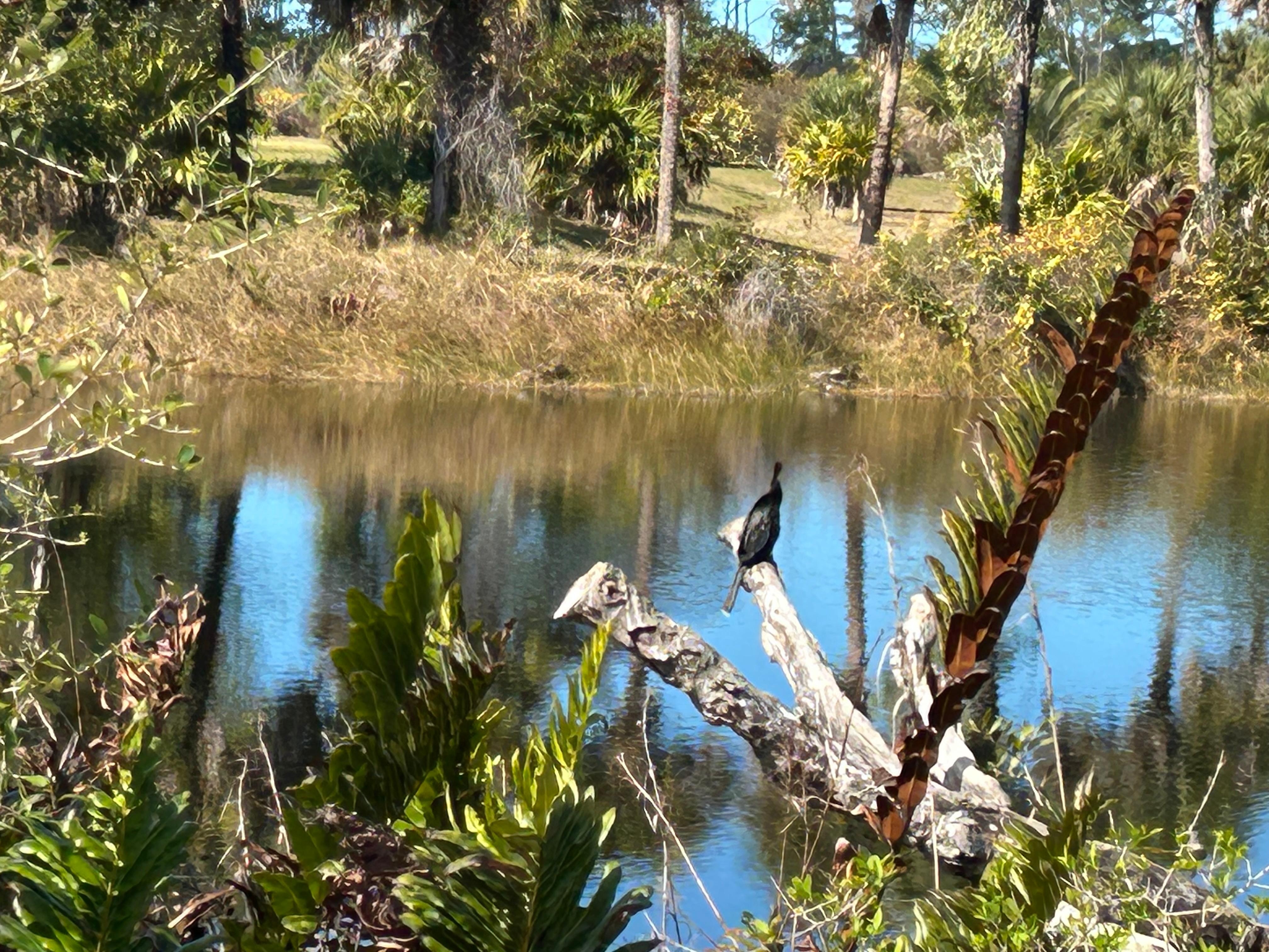 Naples Botanical Garden