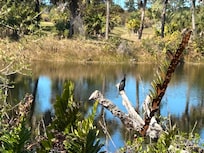 Naples Botanical Garden