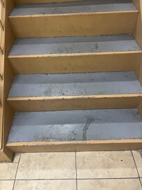 Many other pictures of the filth