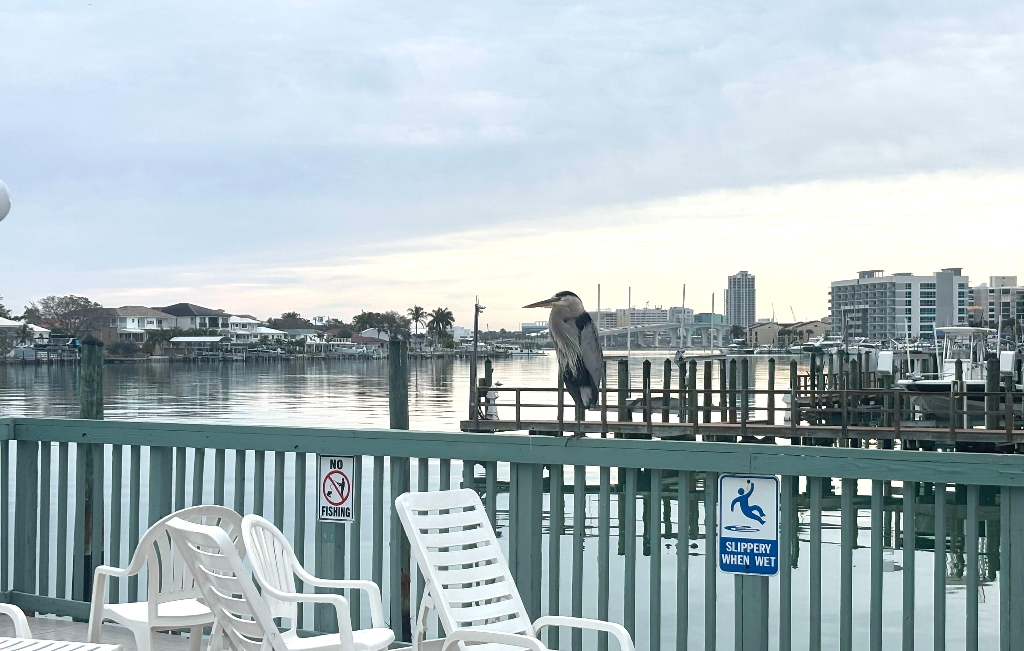 A view from the pool. 