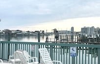 A view from the pool.