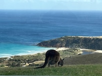 View from the lounge room.