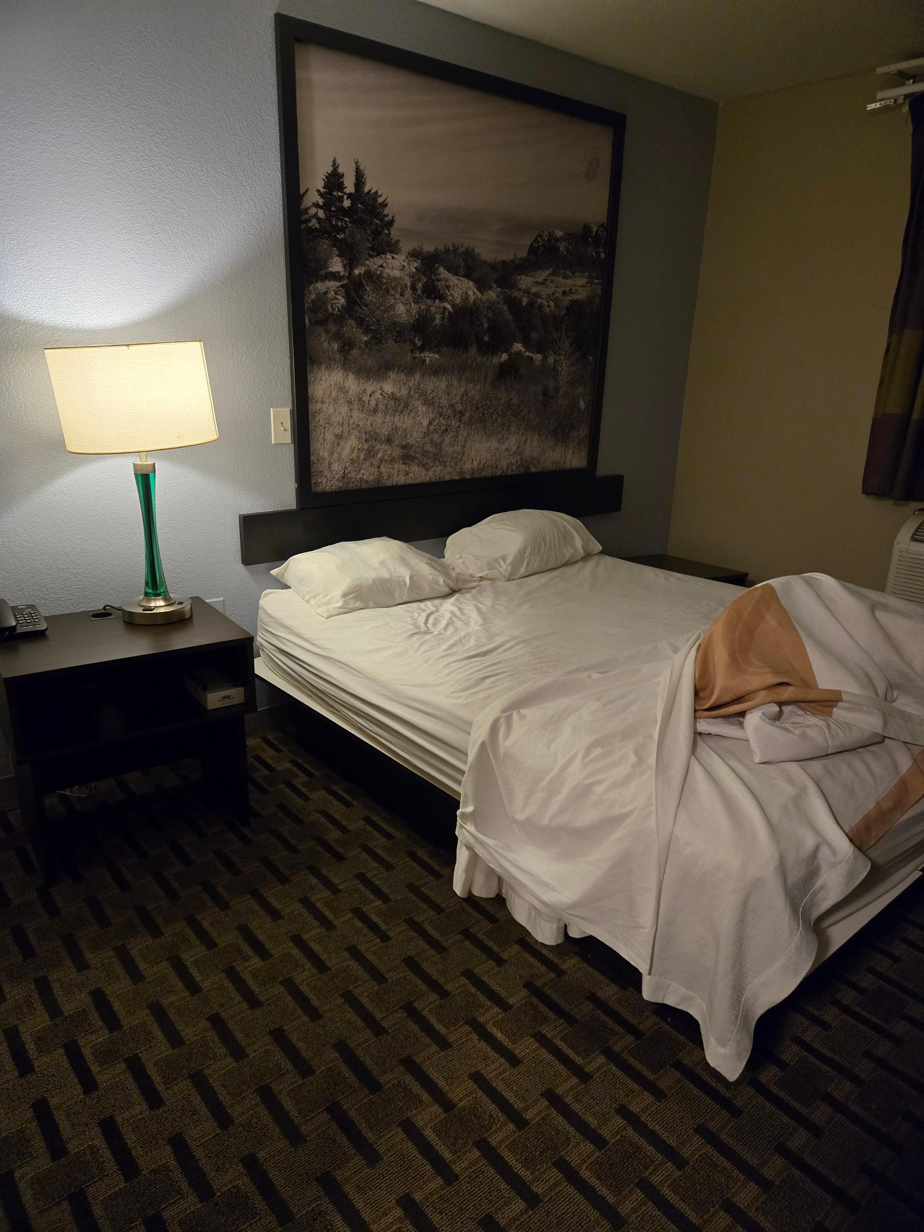 Bed after sheets were pulled back and fleas found.