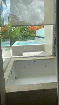 Jacuzzi and Plunge Pool