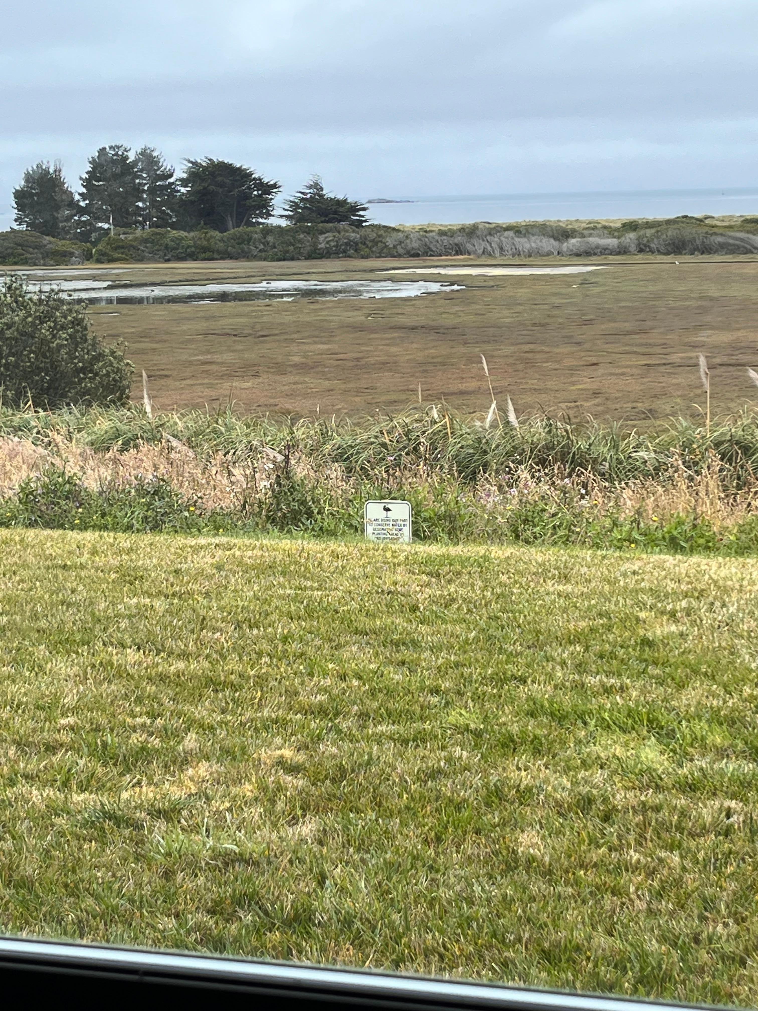 Great bird-watching from our balcony.