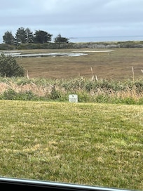 Great bird-watching from our balcony.