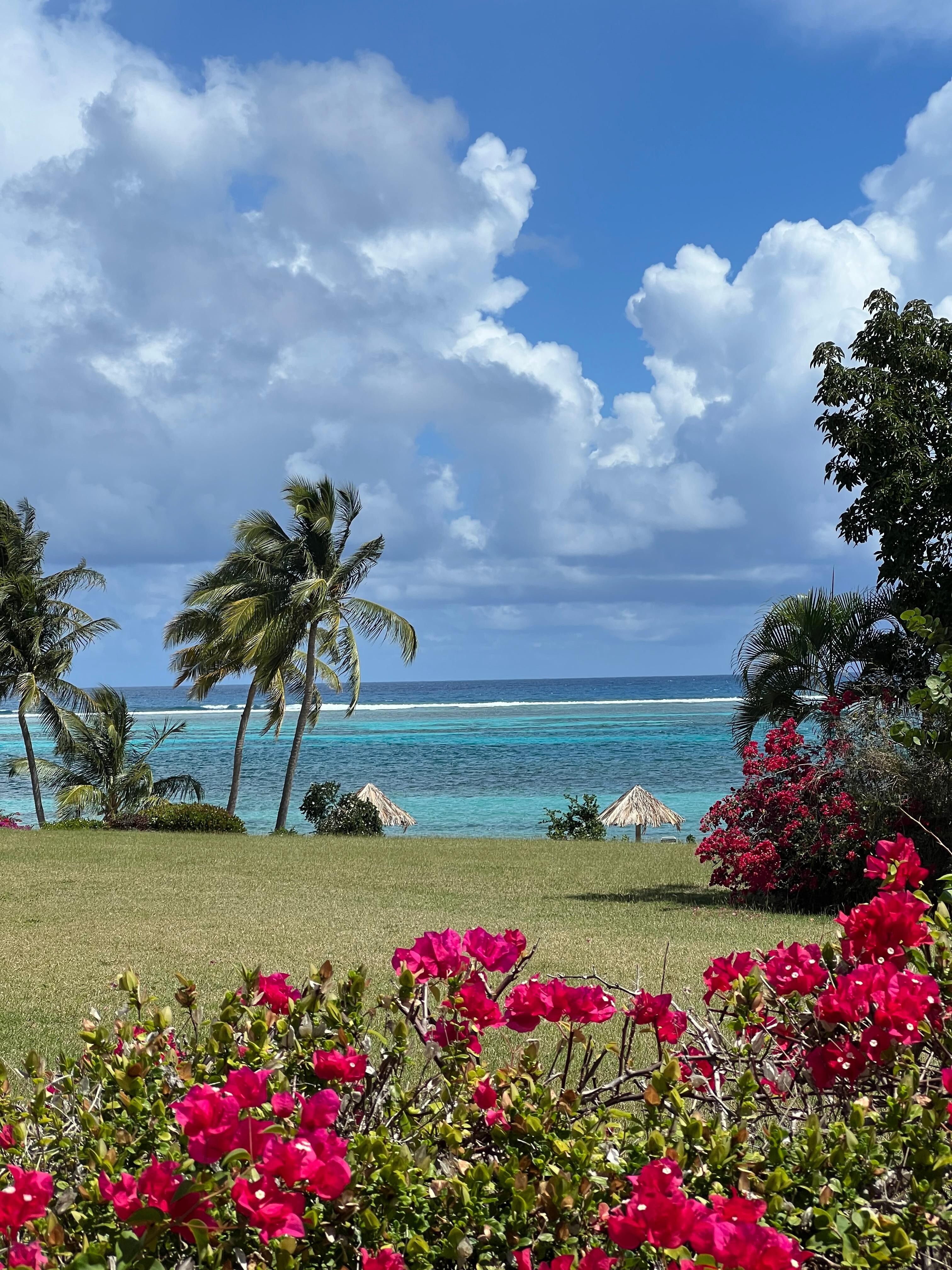 Photo of beach / ocean 