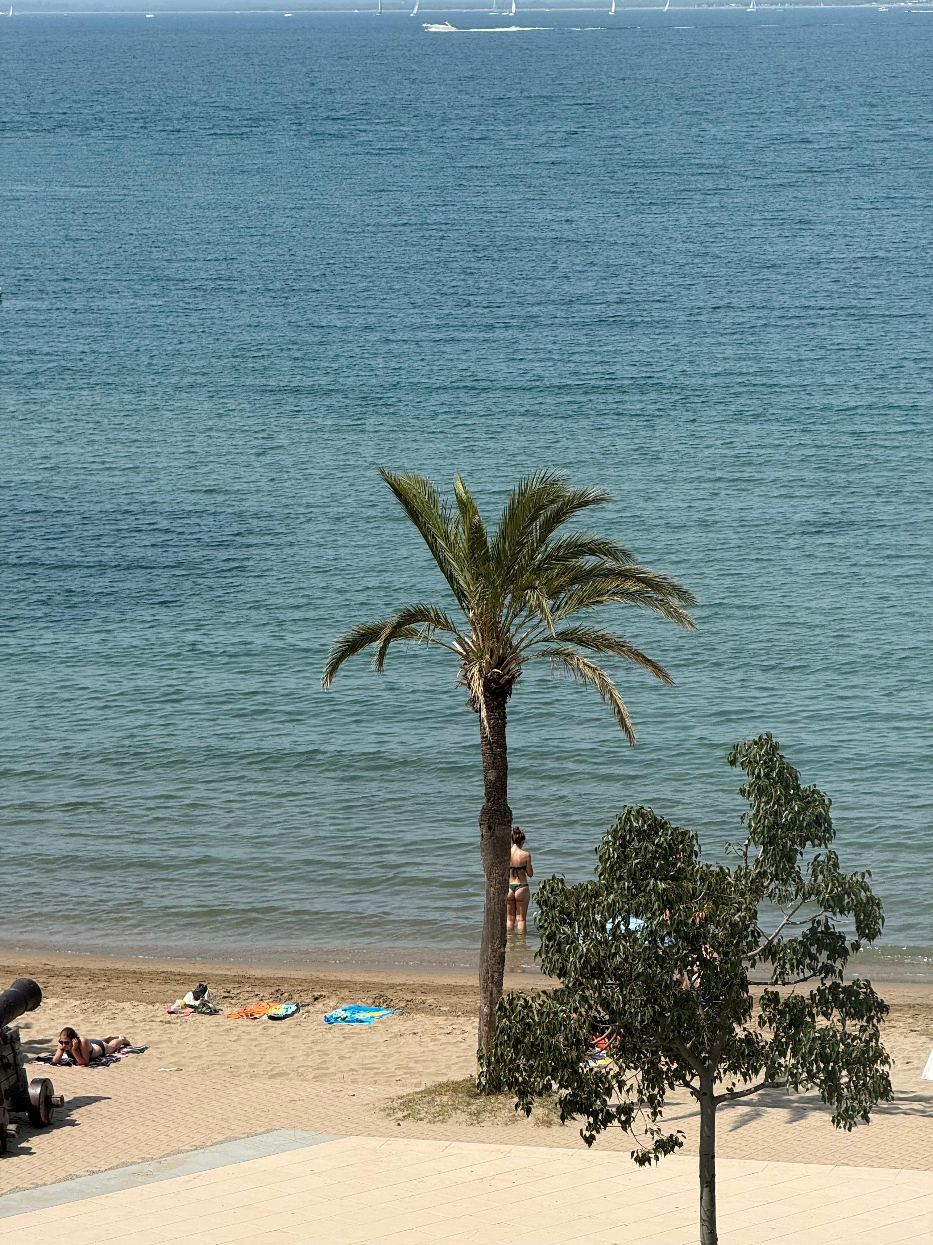 Vista desde la habitación 