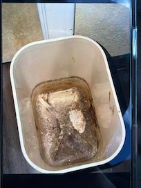 Nasty dirt and mold in trashcan
