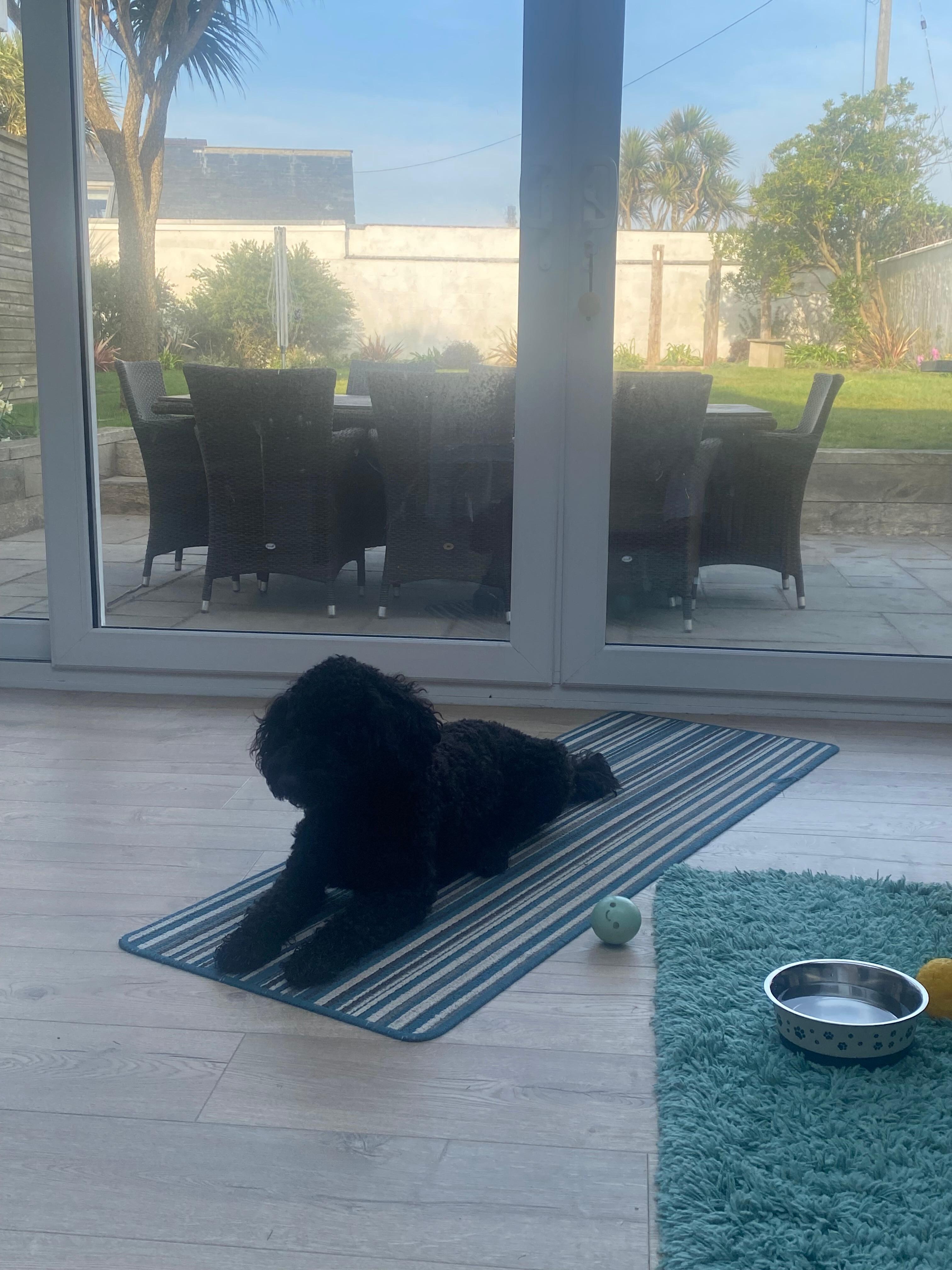 Chilling after a beach walk