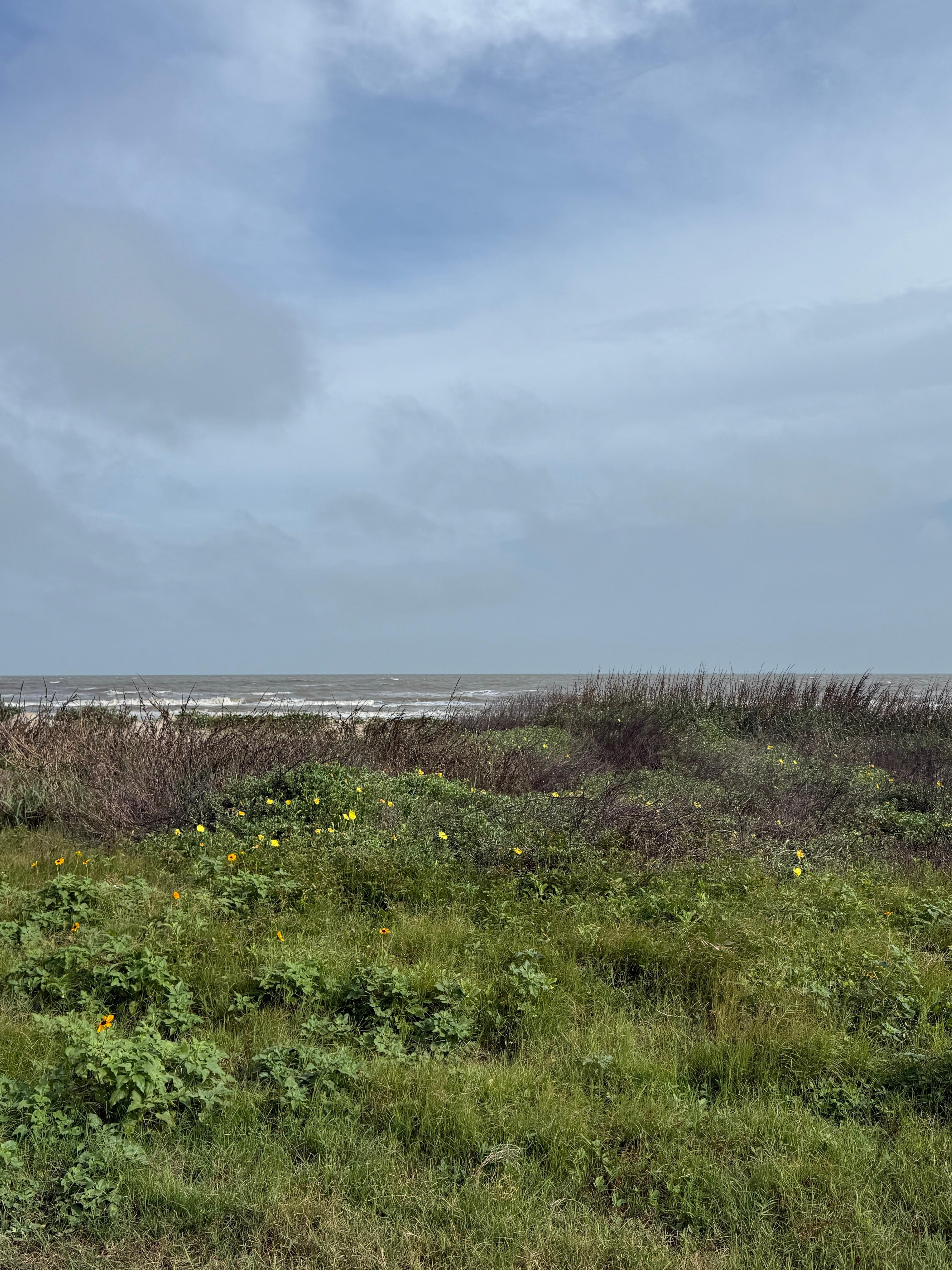 Looking out over the water from the end of the driveway 