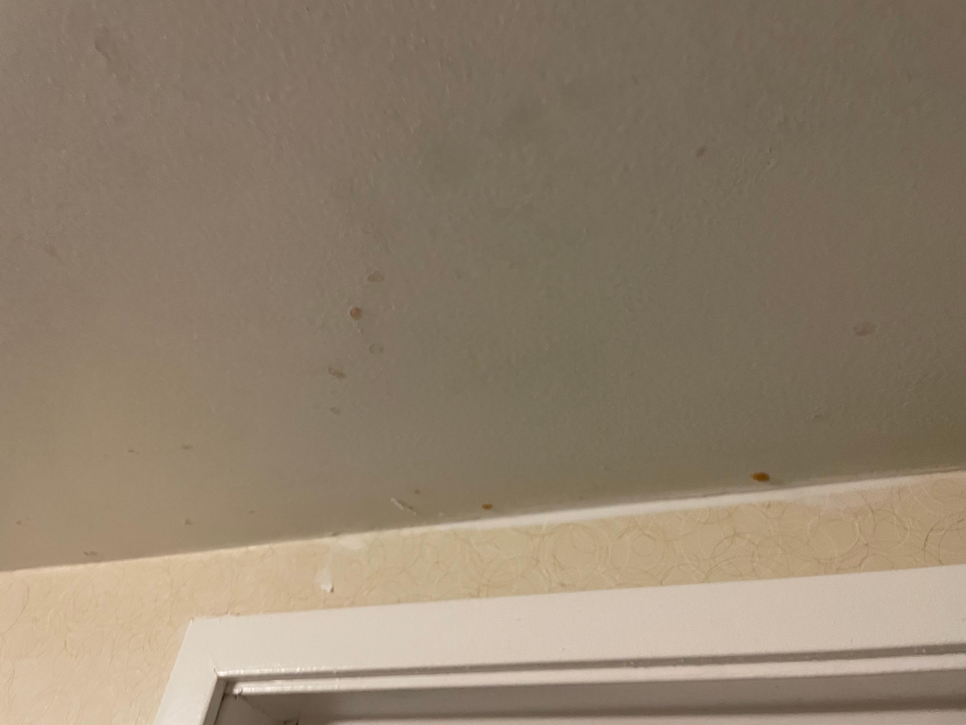 Mystery substance in bathroom 