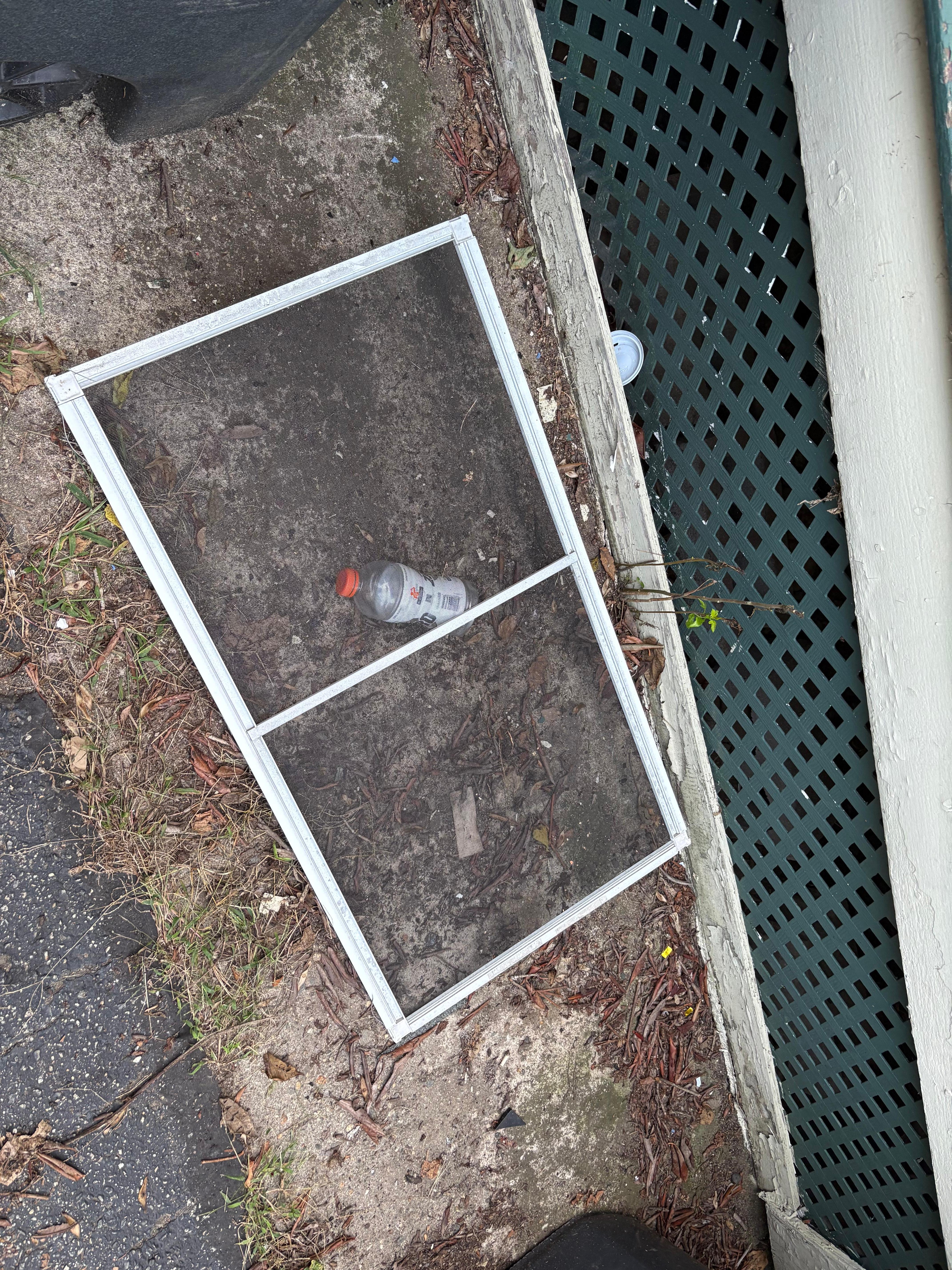 The screen was found in the driveway when we arrived, and there was an old plastic sword on the ground as well
