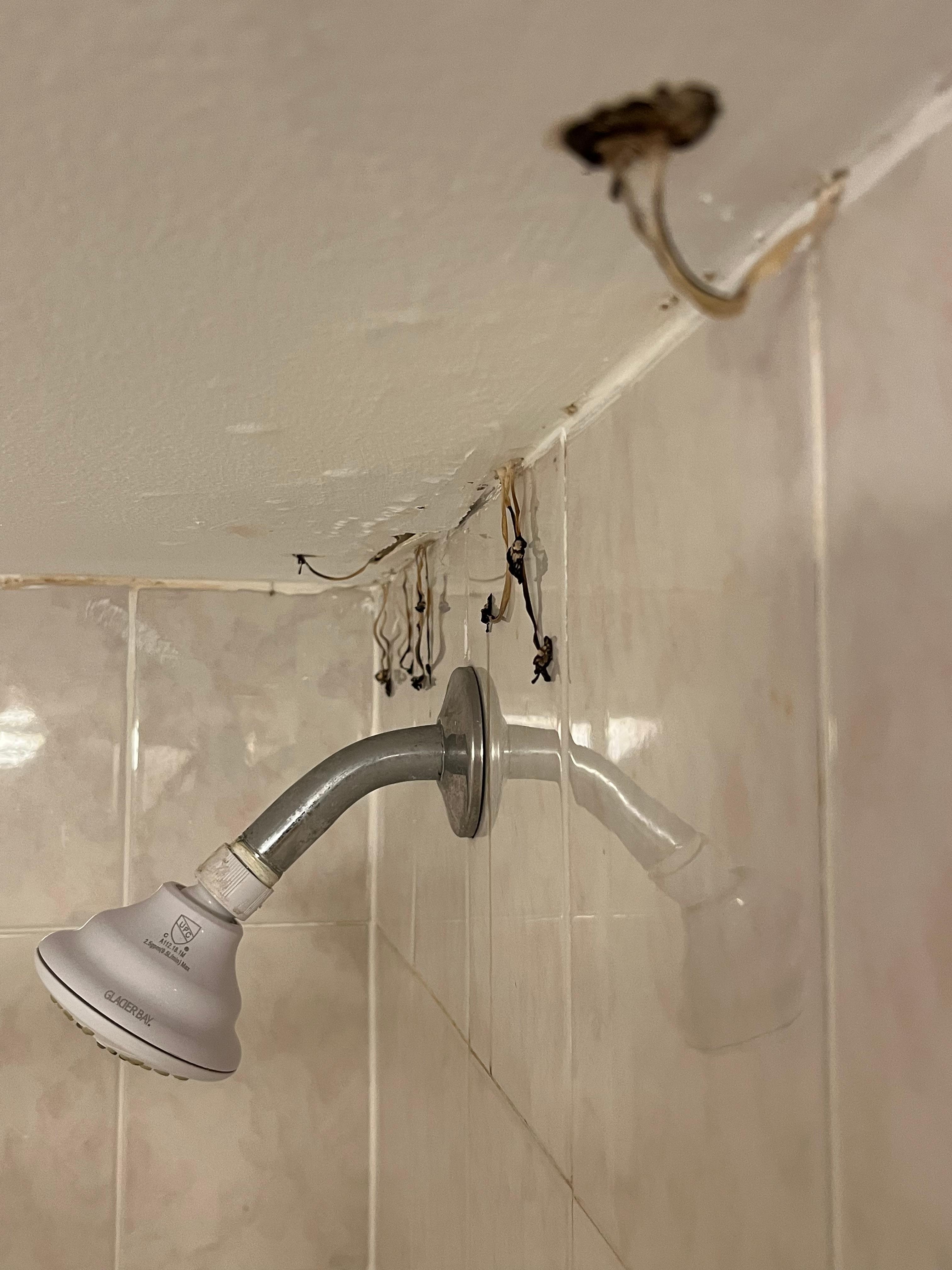 Fungi are fascinating organisms! They don’t require light to thrive.