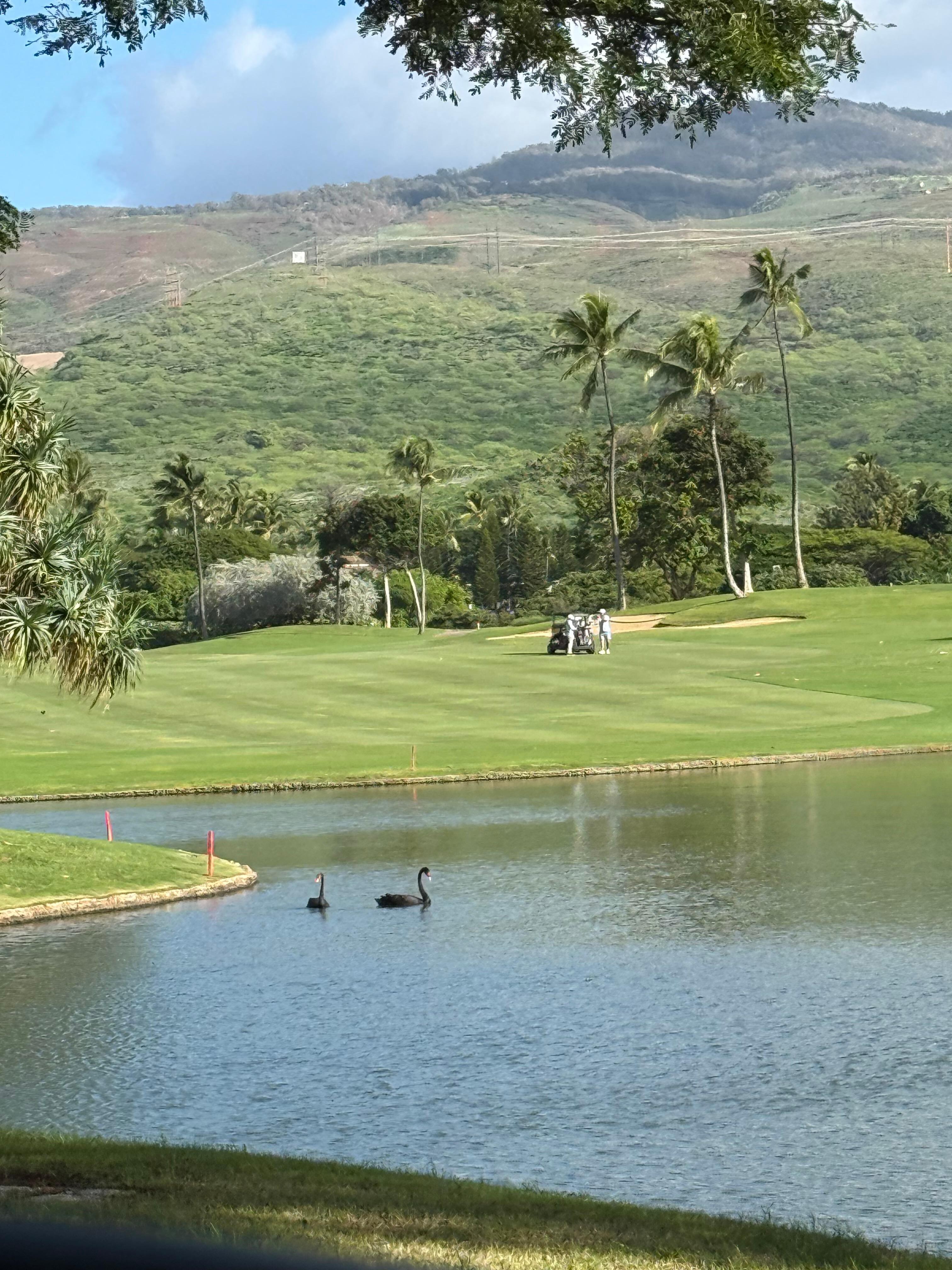 Lagoons in the golf course