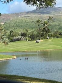 Lagoons in the golf course