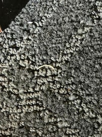 Toe nail clippings by the bedside table