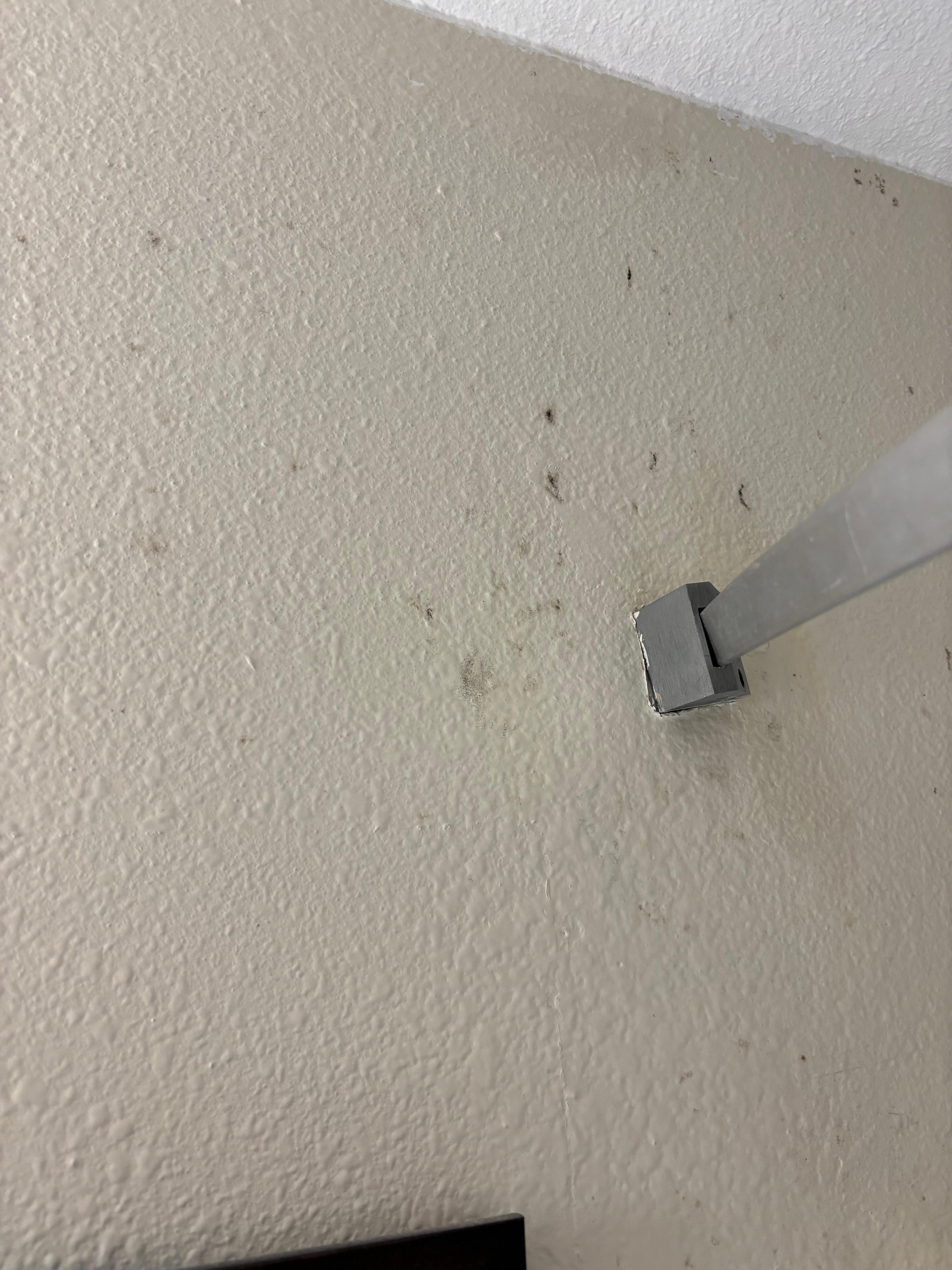 Mold on wall in shower. 