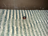 Old candy on the floor