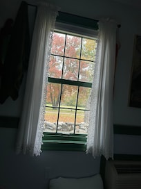 Early morning view! Quiet and sweet little birds to watch!