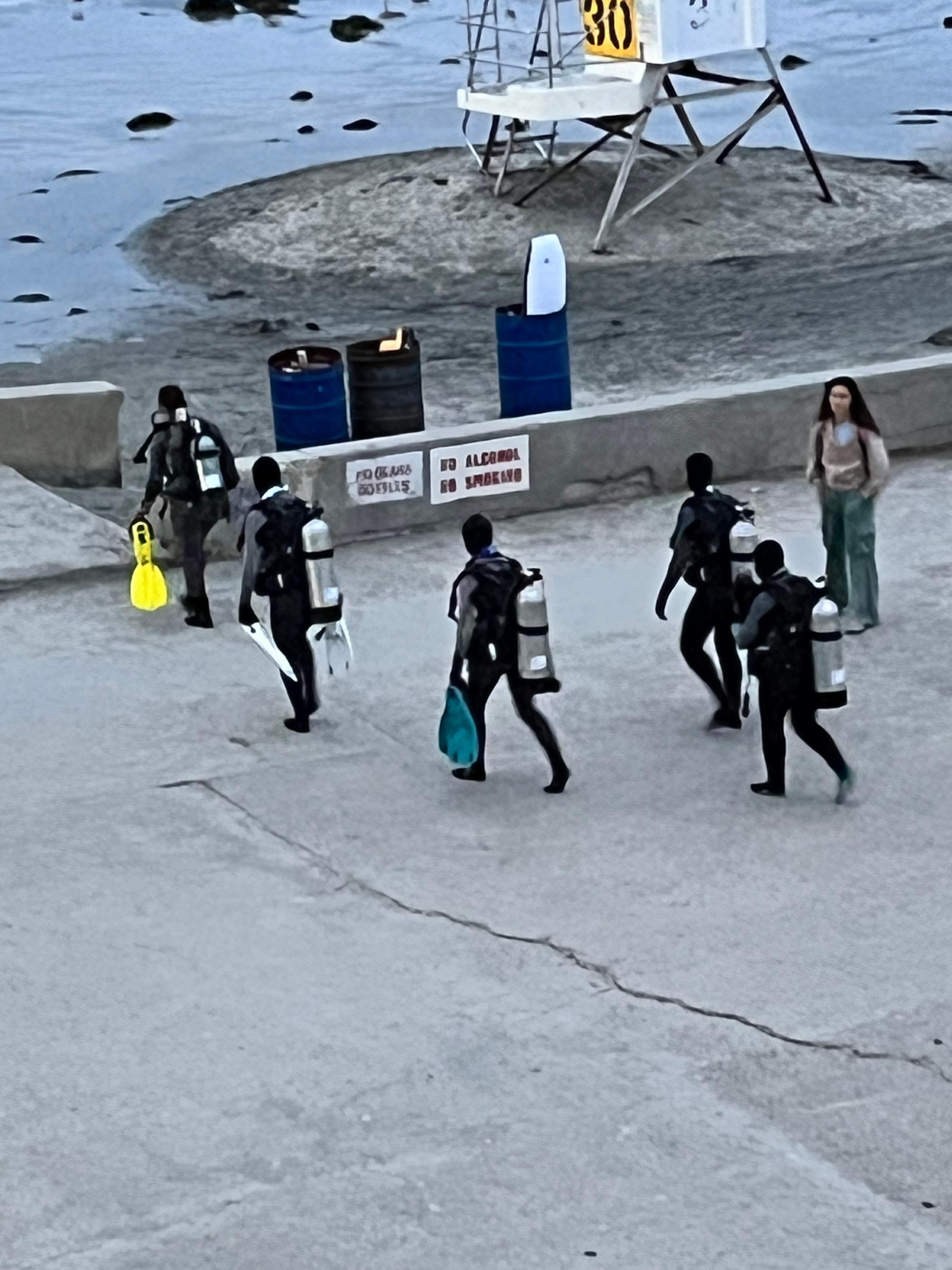 Watching the night scuba divers venture out. 