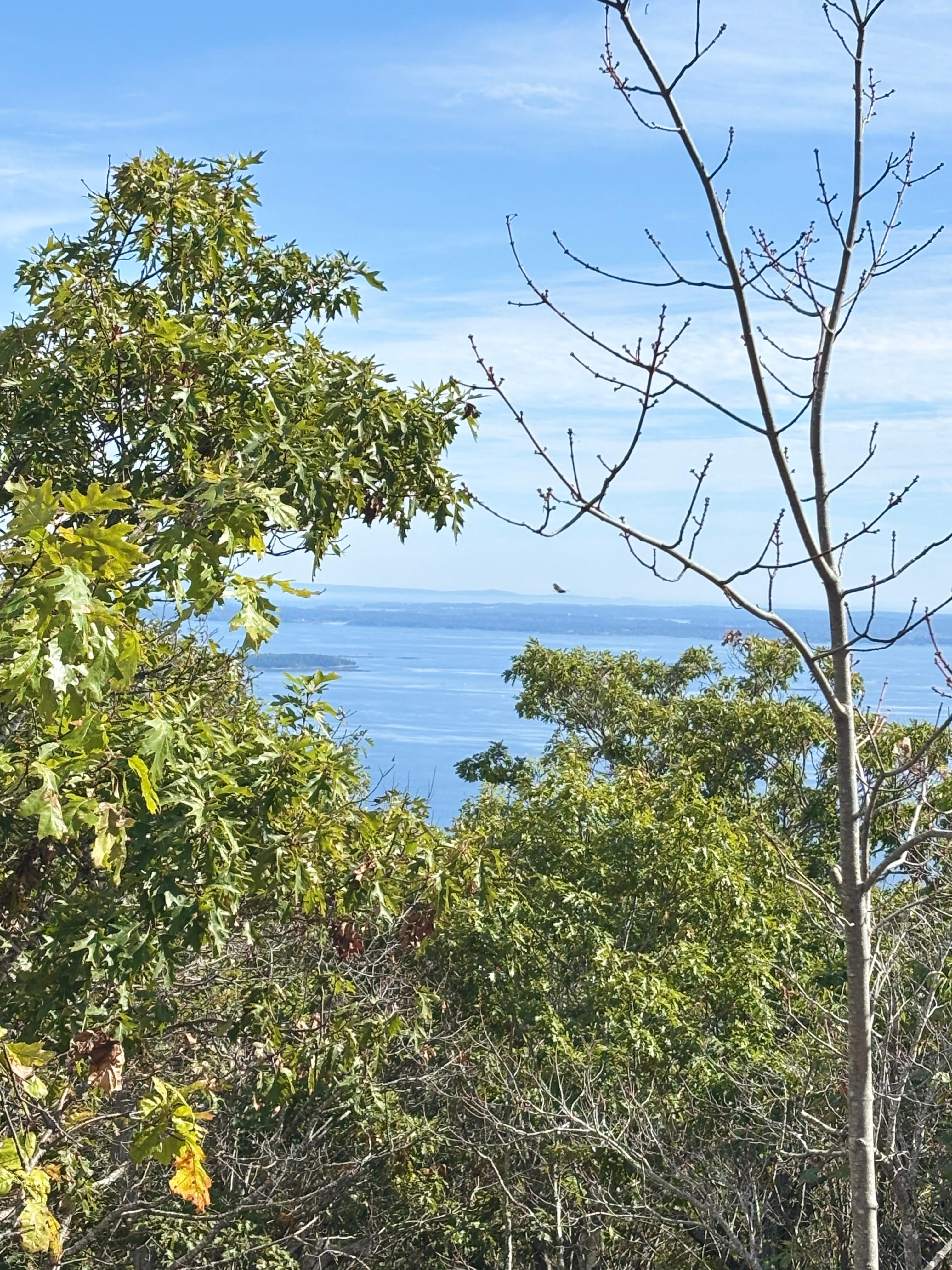 View from Mt. Megunticook (1 mile hike up moderate trails) Access by motor road at Mt. Battie