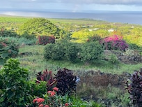 View from the porch