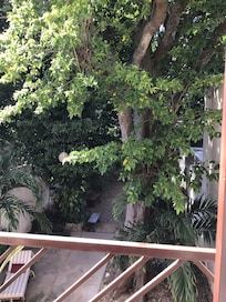 View from our balcony - back garden