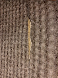 Tapis sale et déchiré
