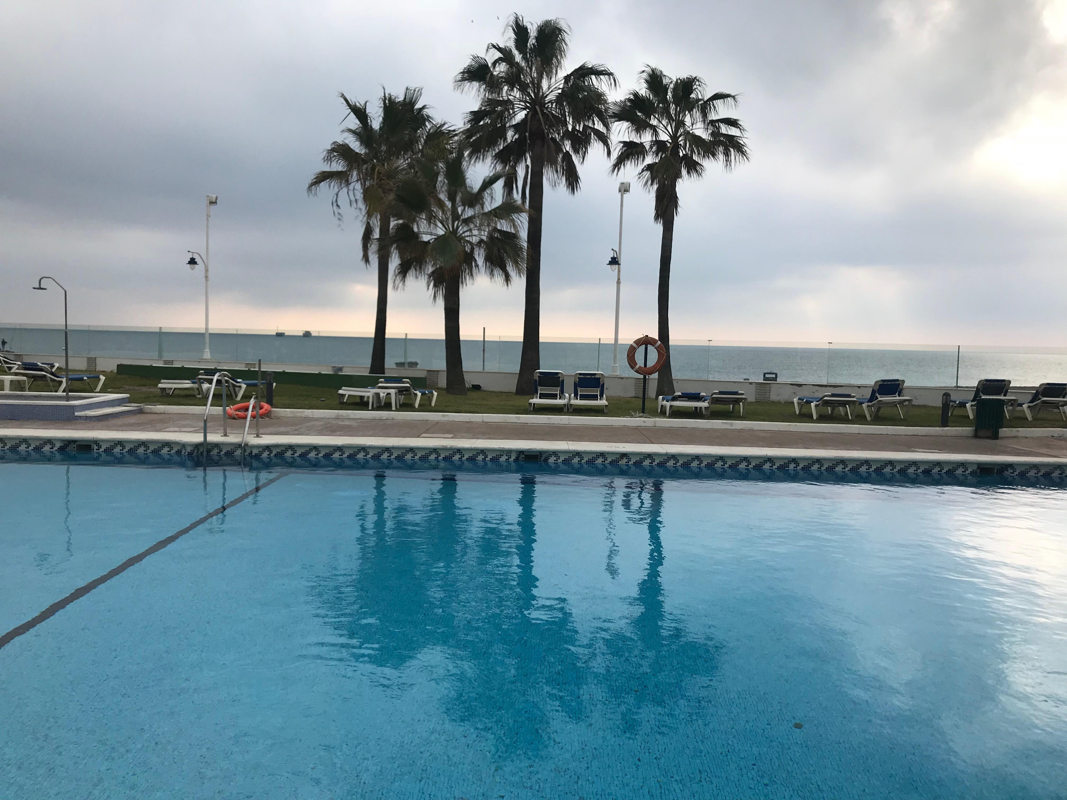 pieni pussy lähikuva kuvia