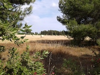 Bellissimo posto, tranquillo e vicino ai templi.