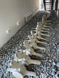 Hermosa decoración!!