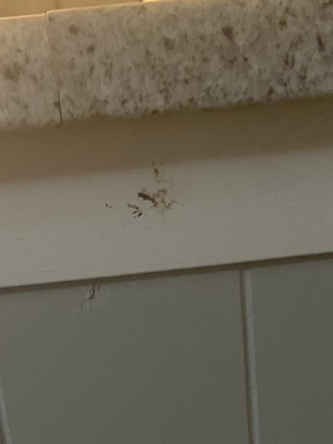 Boogers smeared on wall