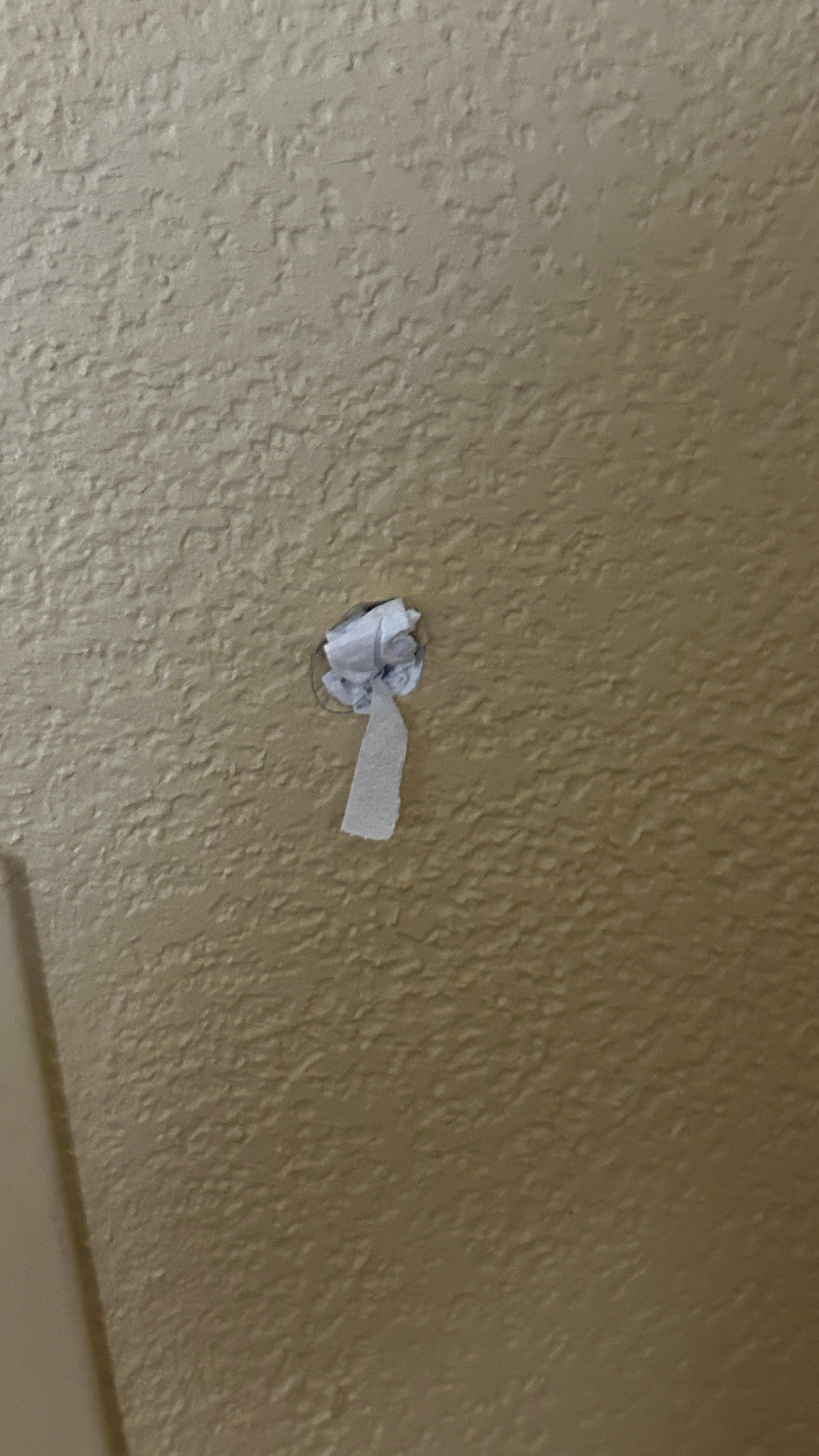 Toilet paper plugging a hole in drywall