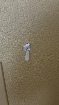 Toilet paper plugging a hole in drywall