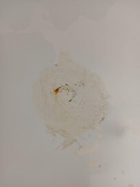 This was also in the bath