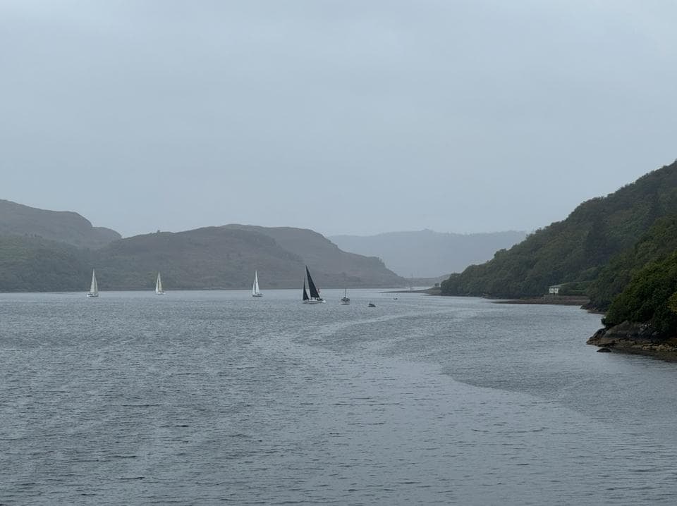 Sailboat race looking back towards the cottage and boathouse