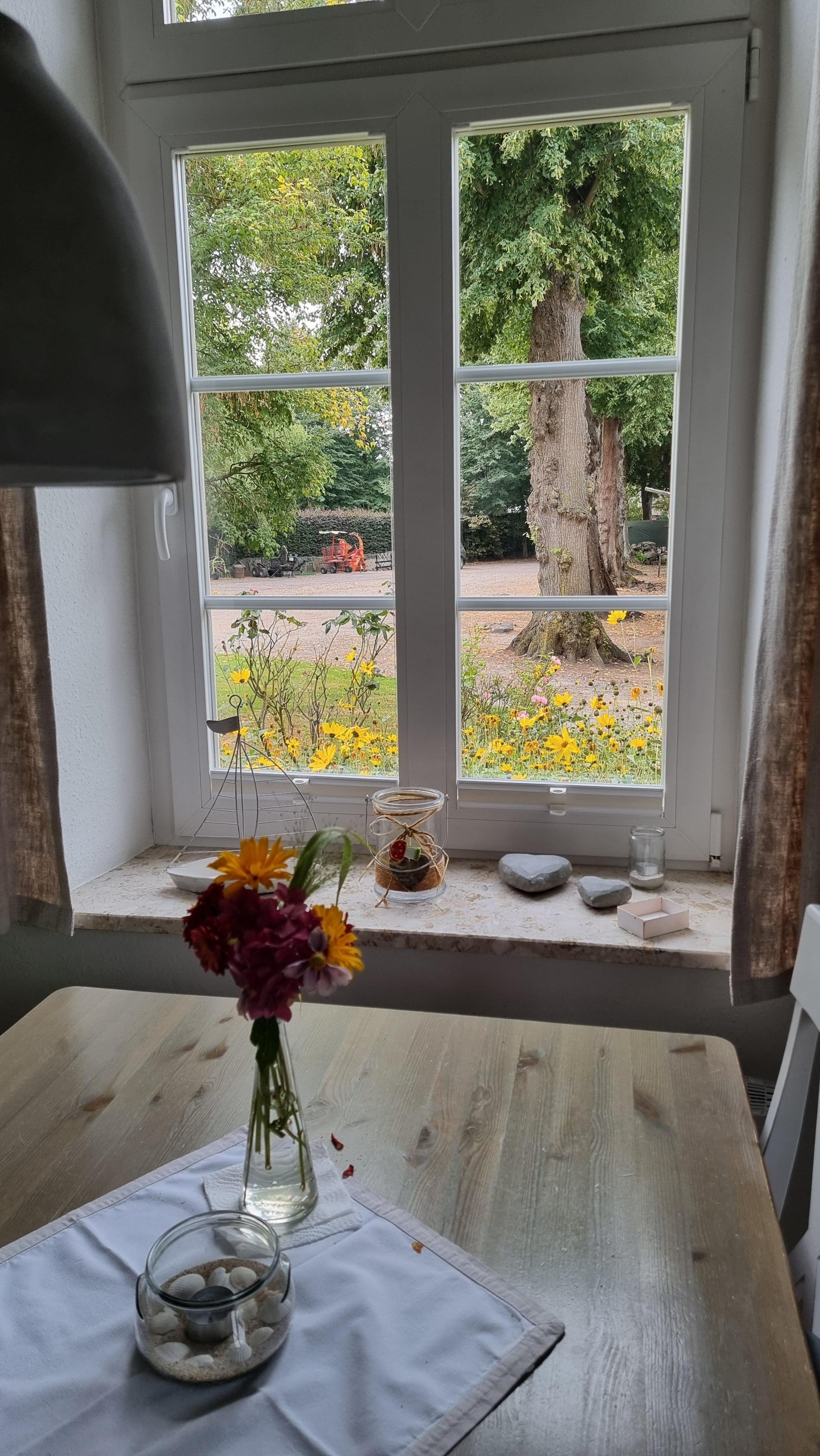 Blick aus dem KüchenfensterEine 