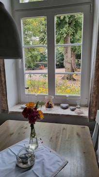 Blick aus dem KüchenfensterEine