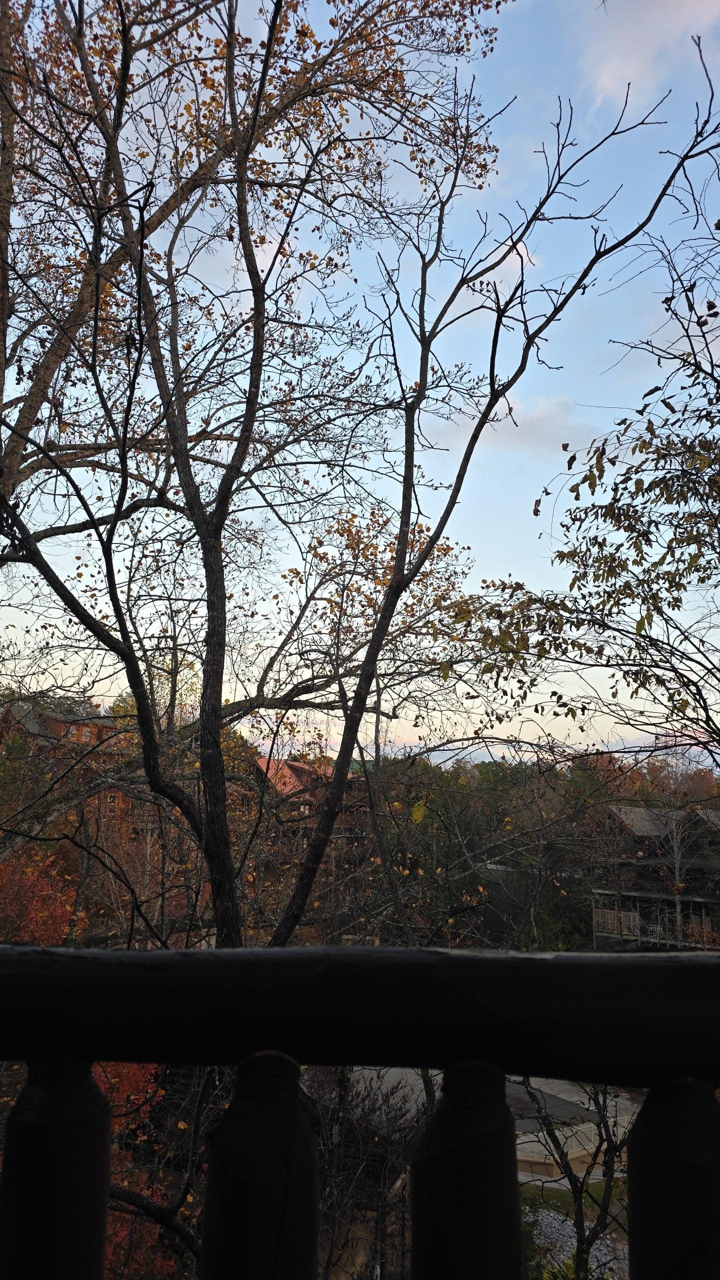 View from the balcony.