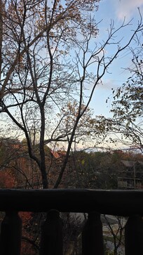 View from the balcony.