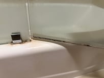 Mold in shower and glass shower door was completely coated in soap scum
