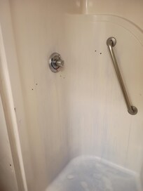 The shower had hair die all in it and no shower curtain